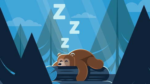 4 Different Sleep Animals – Which One Are You?