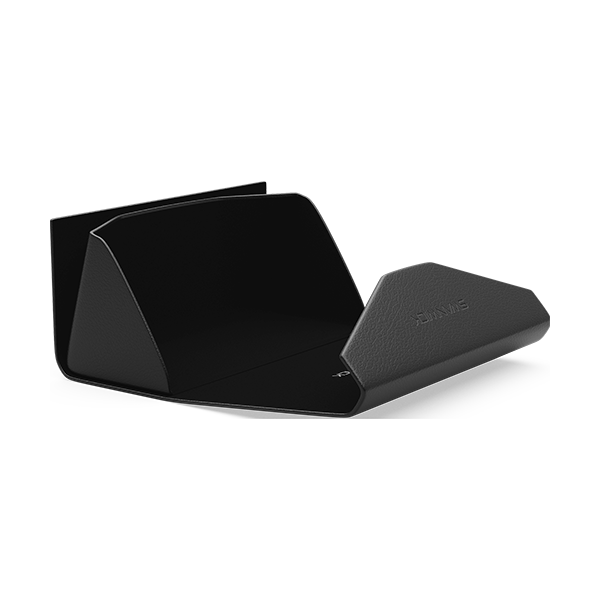 Foldable Eyeglass Case Swannies