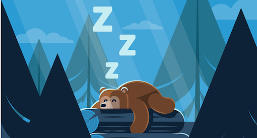 4 Different Sleep Animals – Which One Are You?