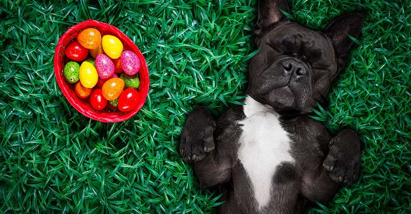 Sweet Dreams: Easter Goodies & The Battle for Sleep