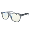 Kids Crystal Day Swannies - Clear Blue Light Glasses - Smoky Quartz